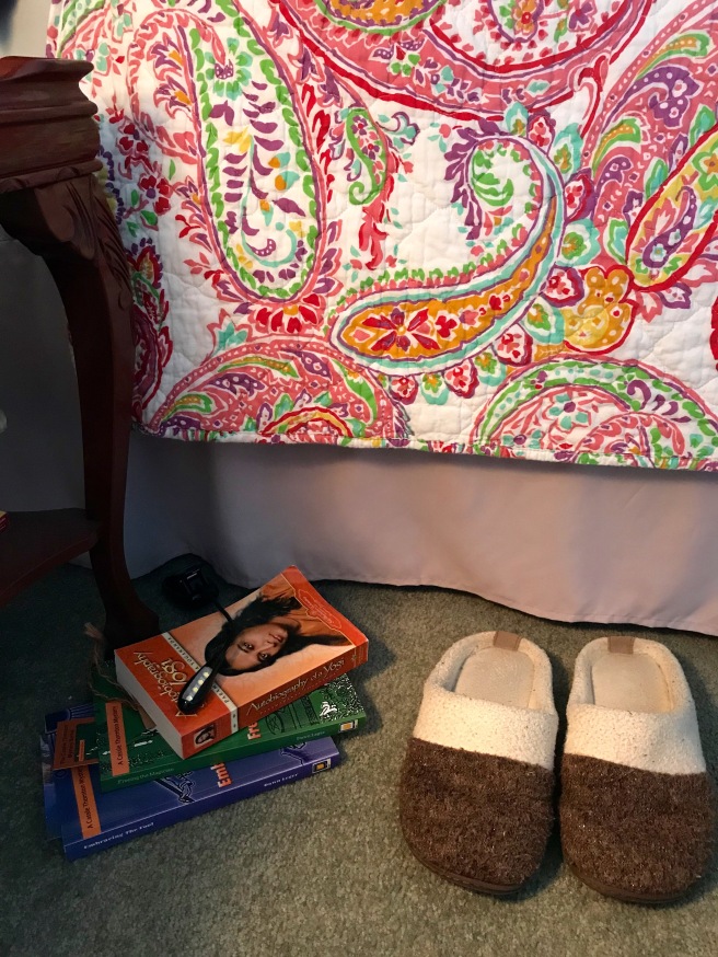 On the floor next to my bed you will find slippers and 3 books I pick up and a book light.